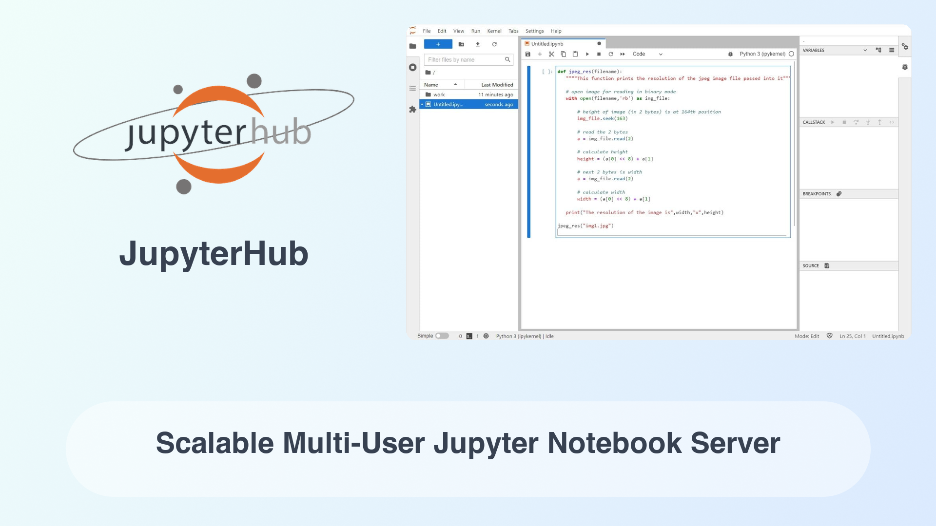 JupyterHub: Scalable Multi-User Jupyter Notebook Server