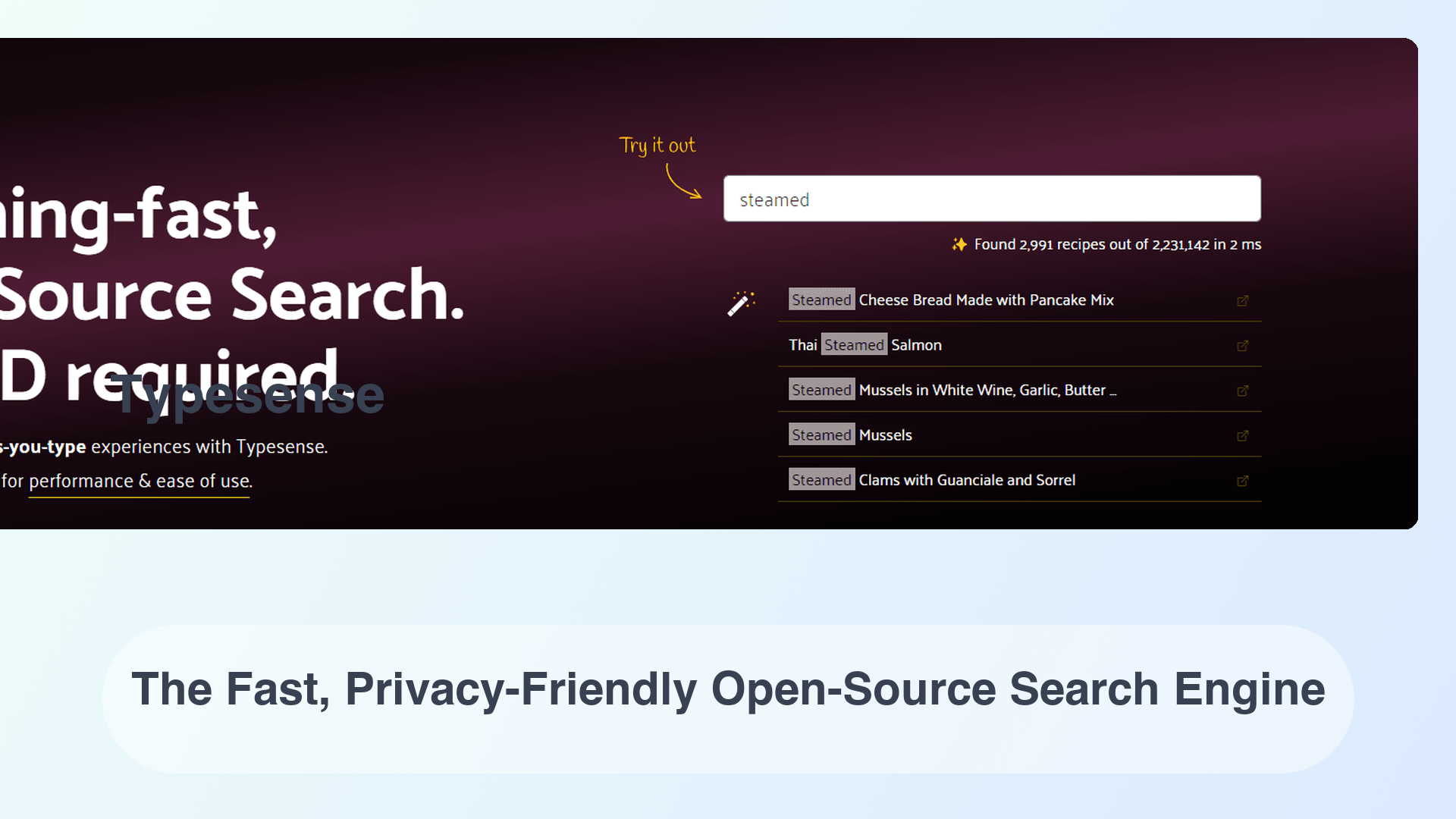 Typesense: The Fast, Privacy-Friendly Open-Source Search Engine