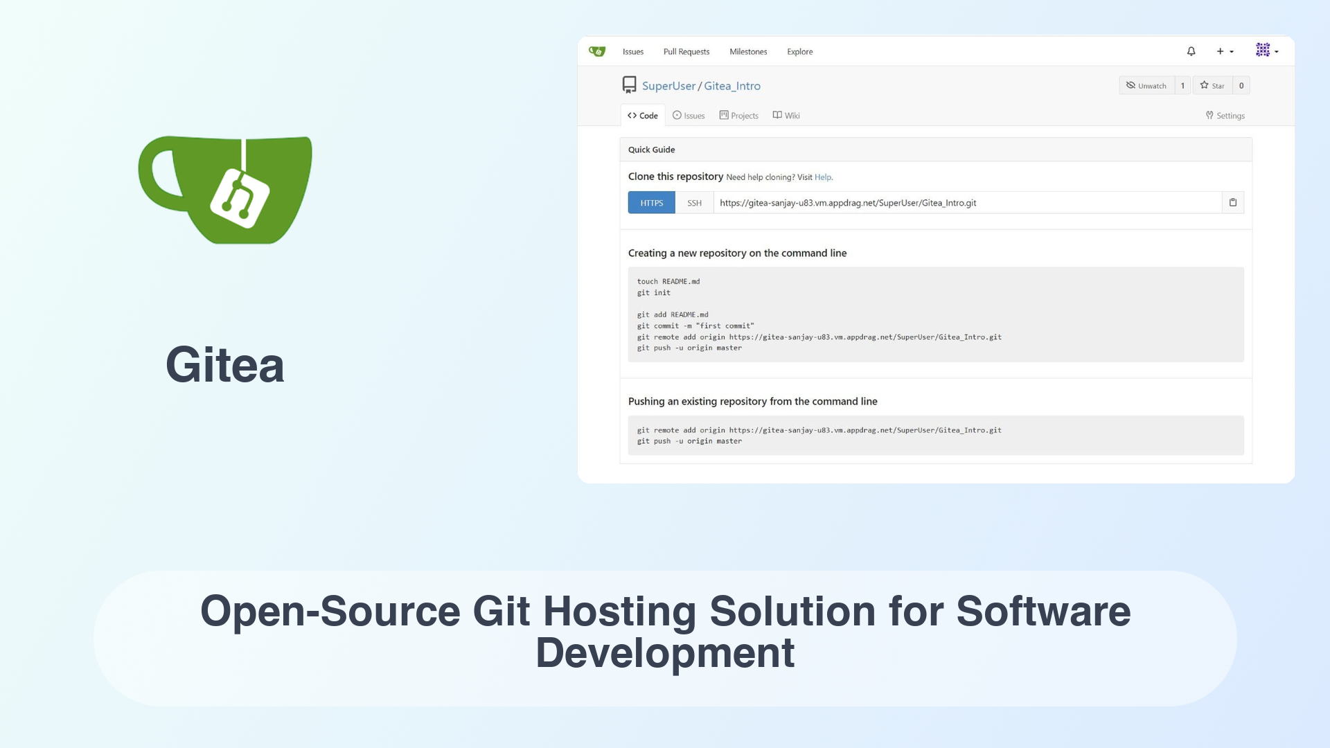 Gitea: Open-Source Git Hosting Solution for Software Development