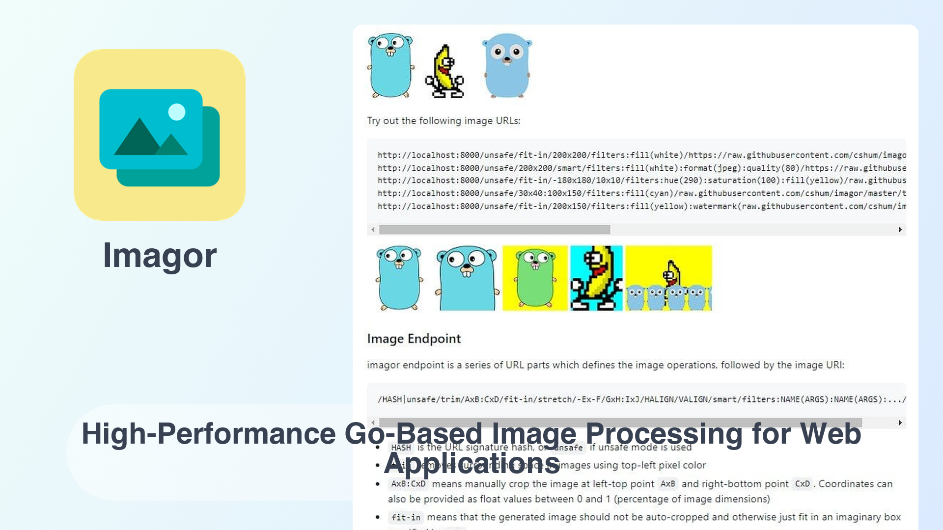 Imagor: High-Performance Go-Based Image Processing for Web Applications