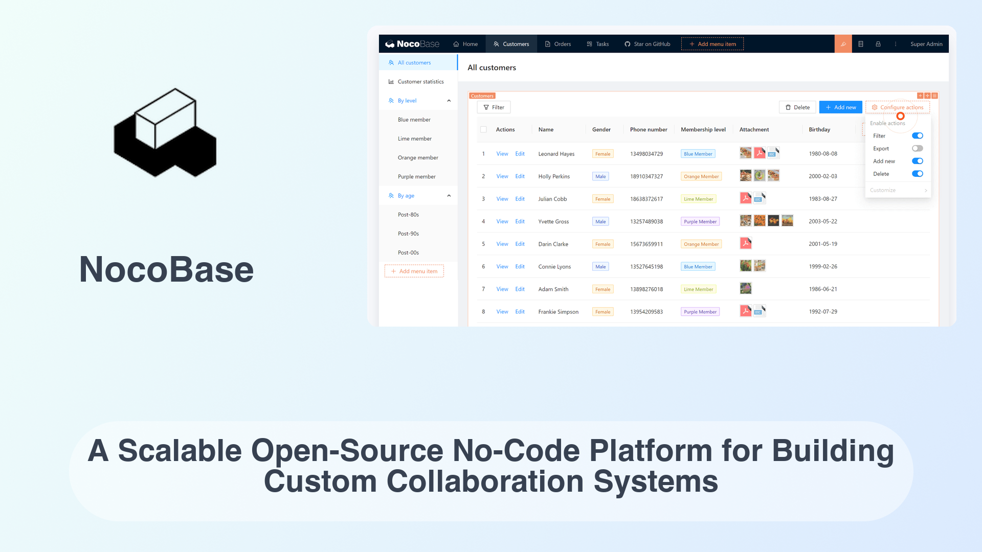 NocoBase: A Scalable Open-Source No-Code Platform for Building Custom Collaboration Systems