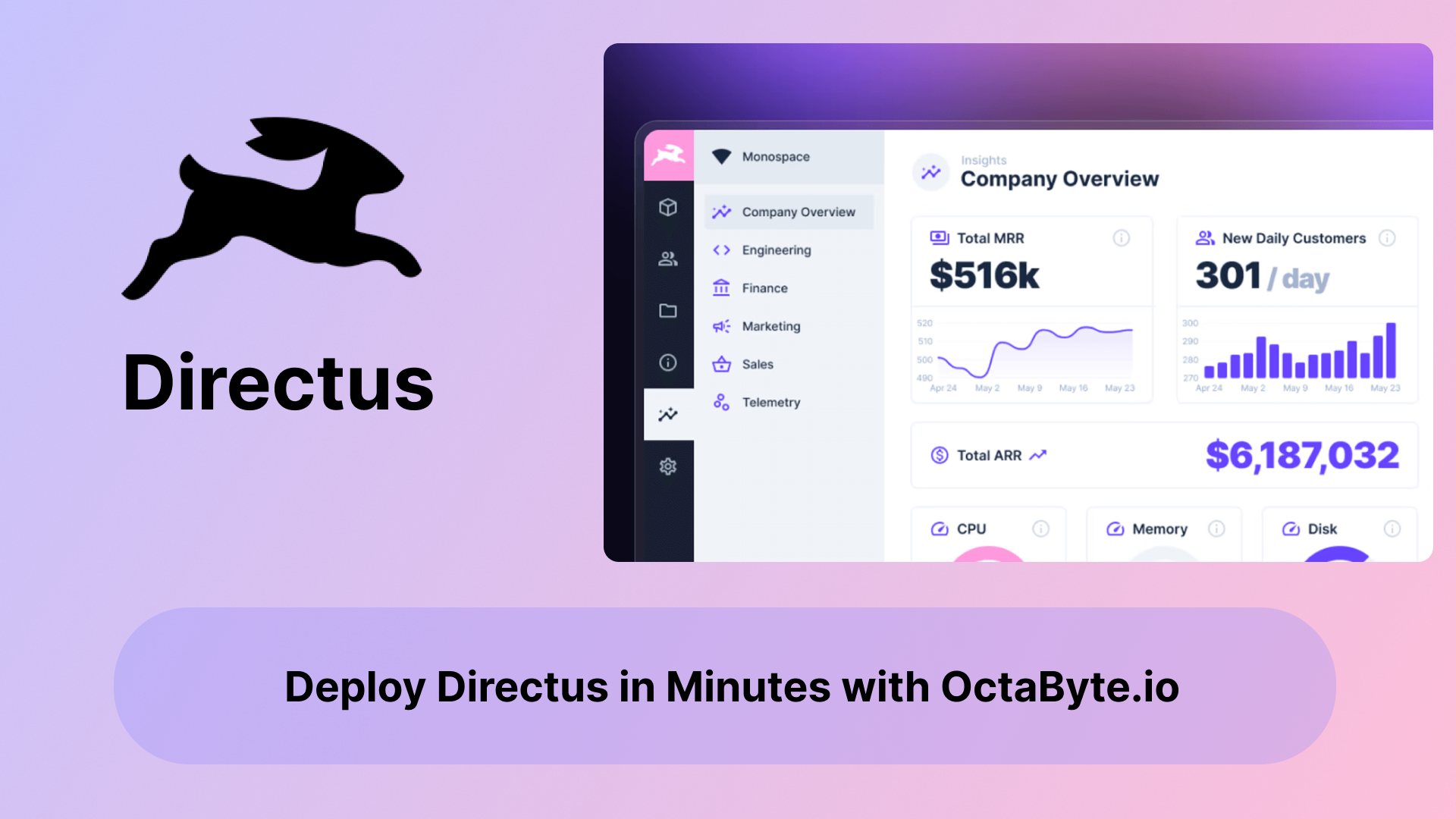 Deploy Directus in Minutes with OctaByte.io