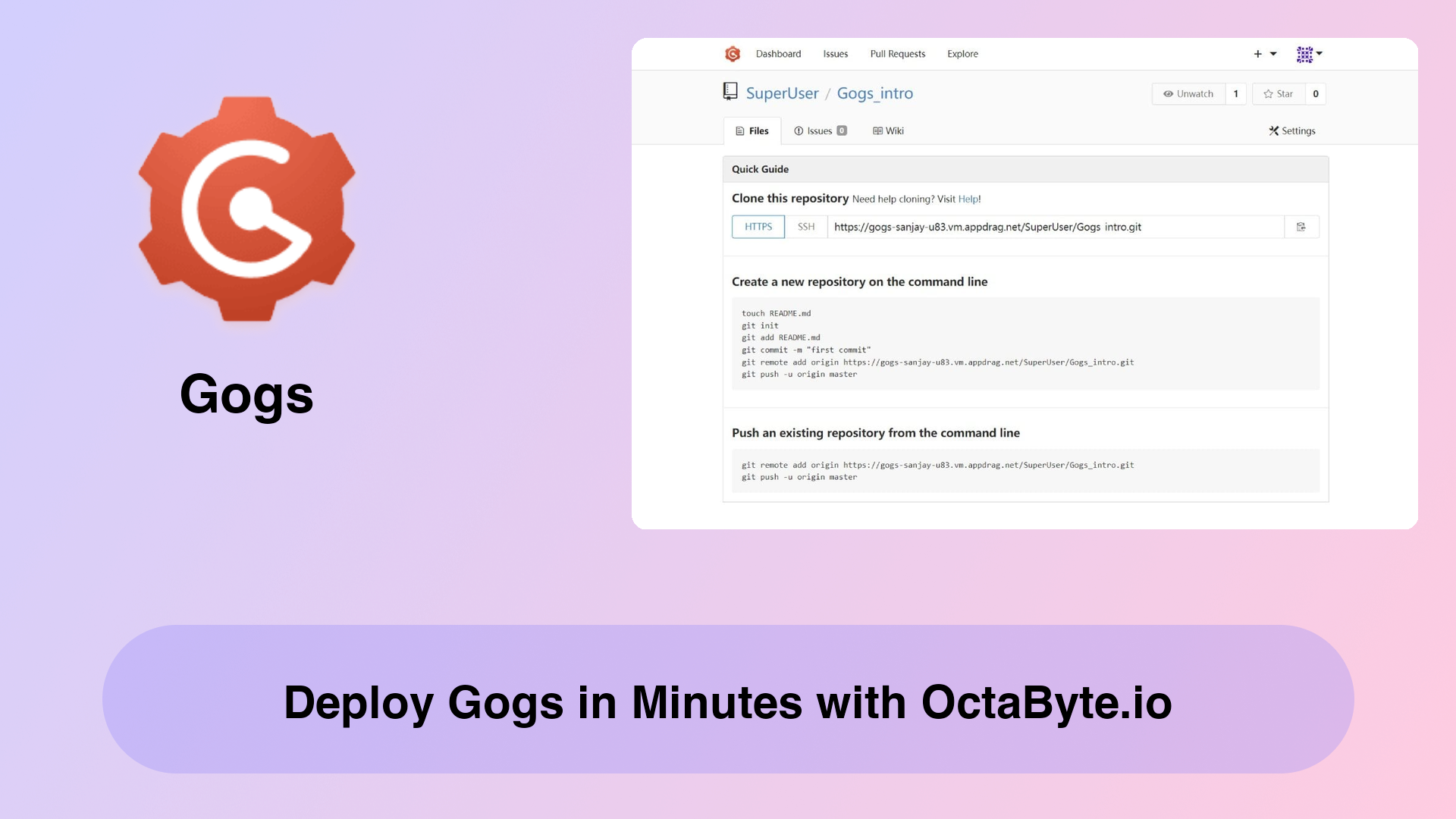 Deploy Gogs in Minutes with OctaByte.io