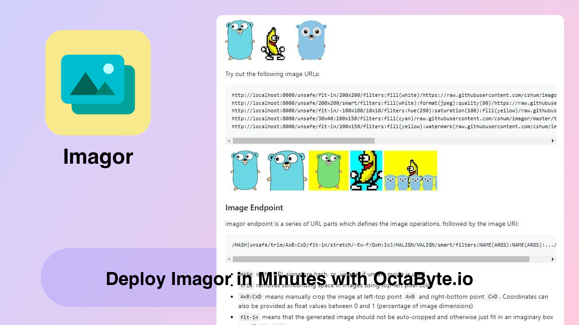 Deploy Imagor in Minutes with OctaByte.io