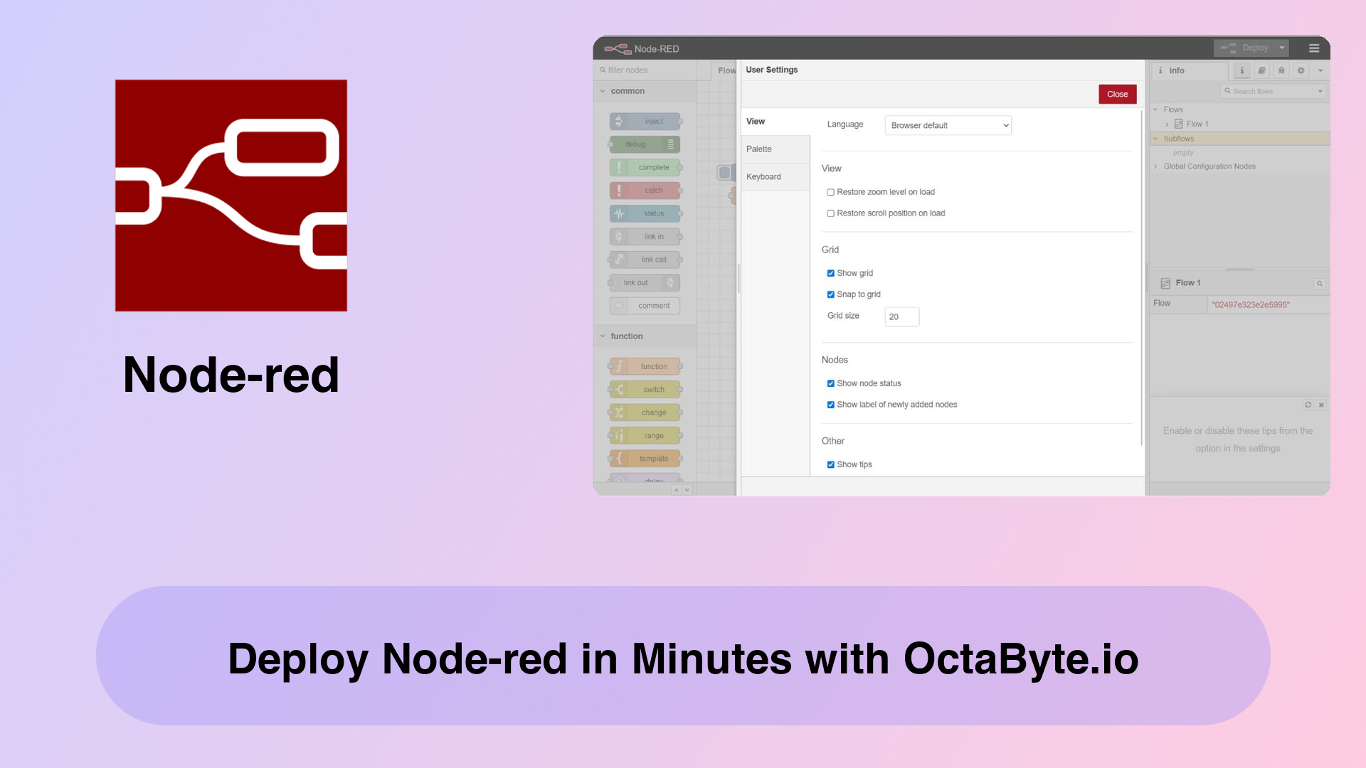 Deploy Node-red in Minutes with OctaByte.io