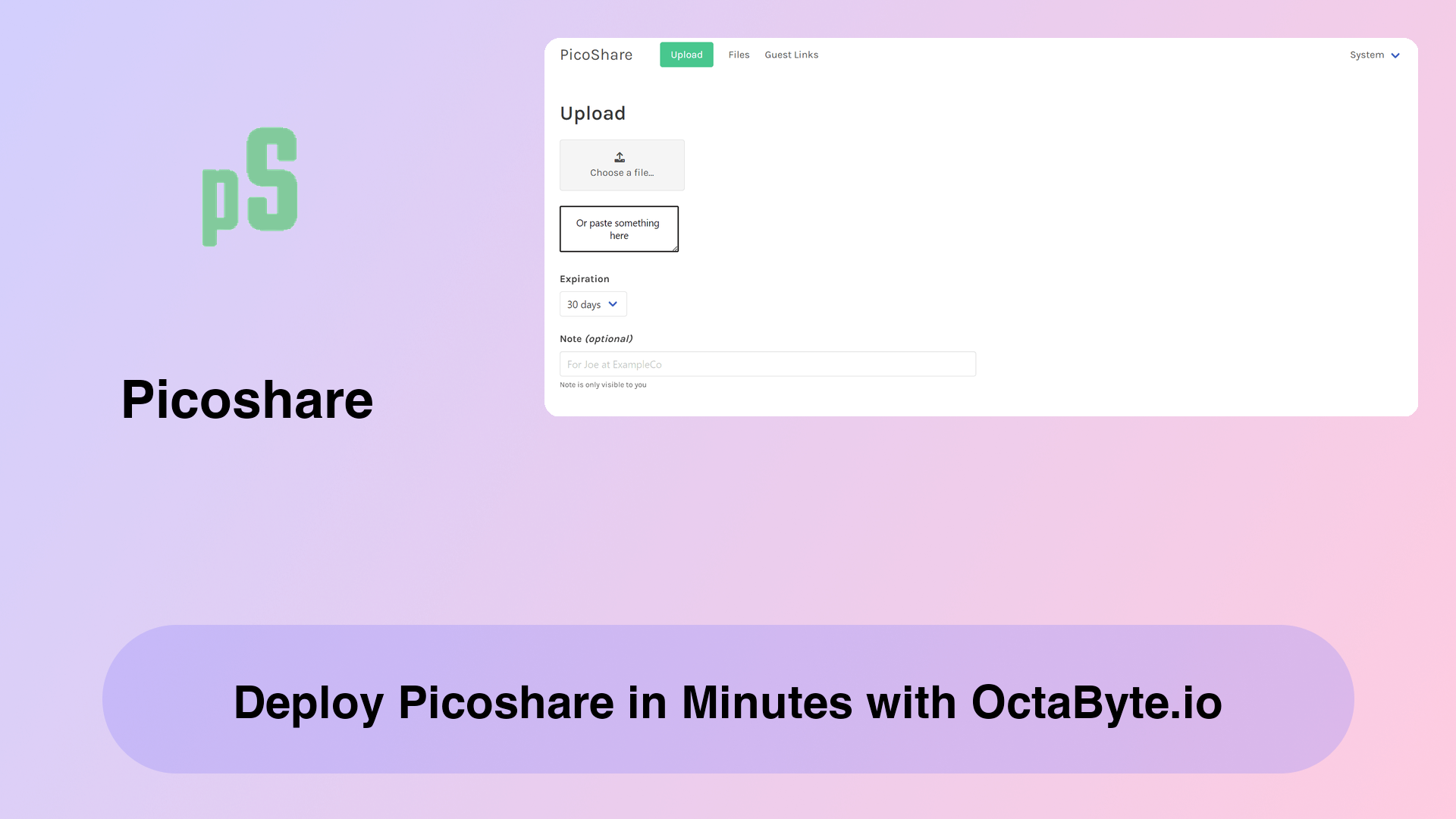 Deploy Picoshare in Minutes with OctaByte.io