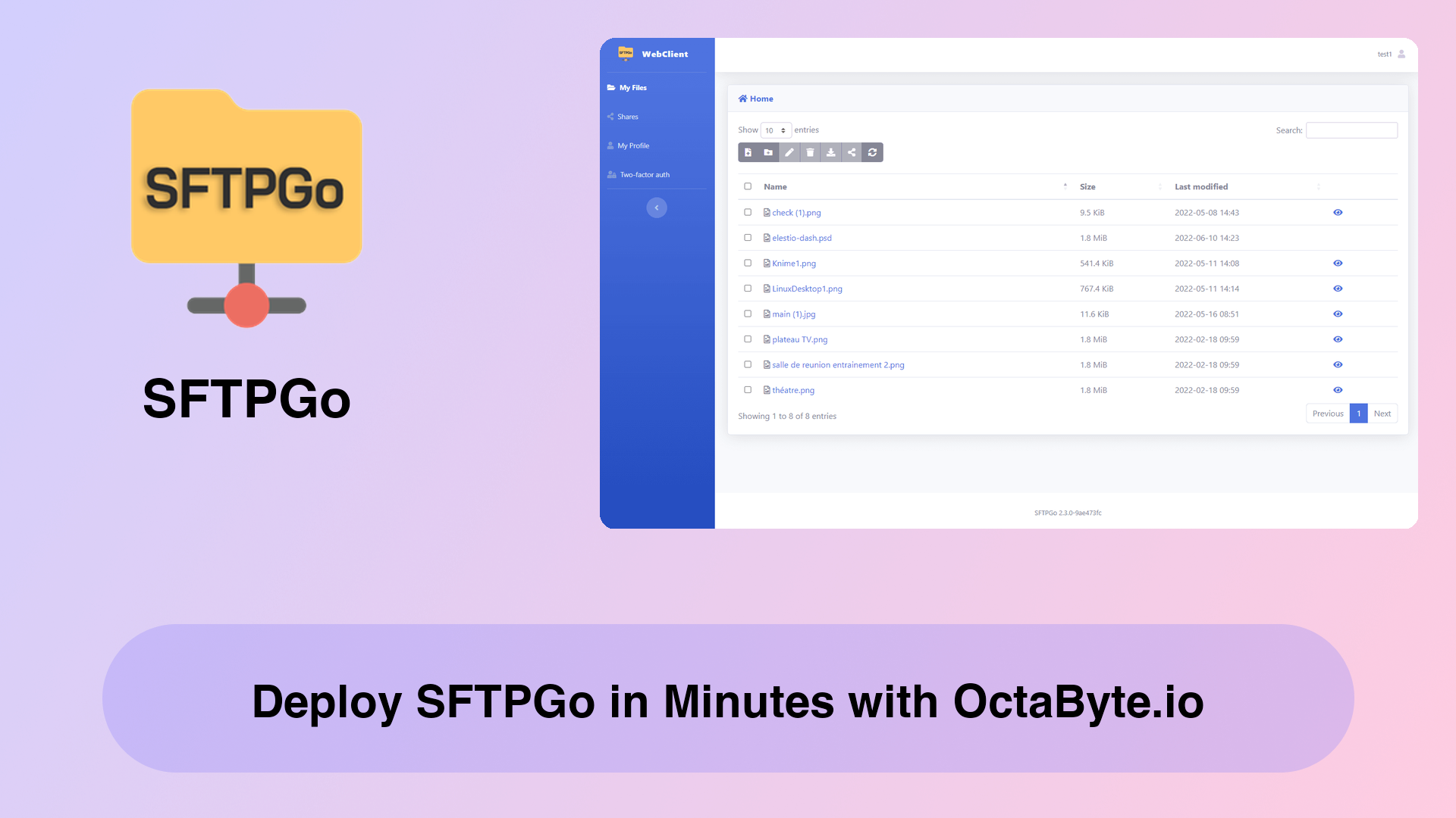 Deploy SFTPGo in Minutes with OctaByte.io