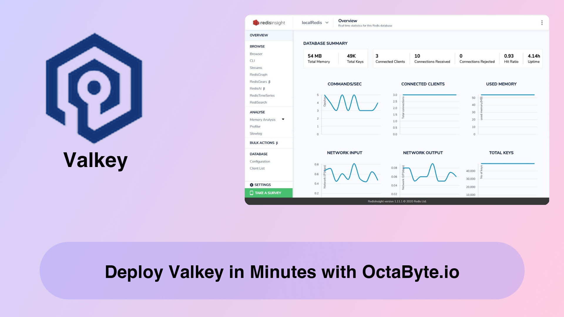 Deploy Valkey in Minutes with OctaByte.io