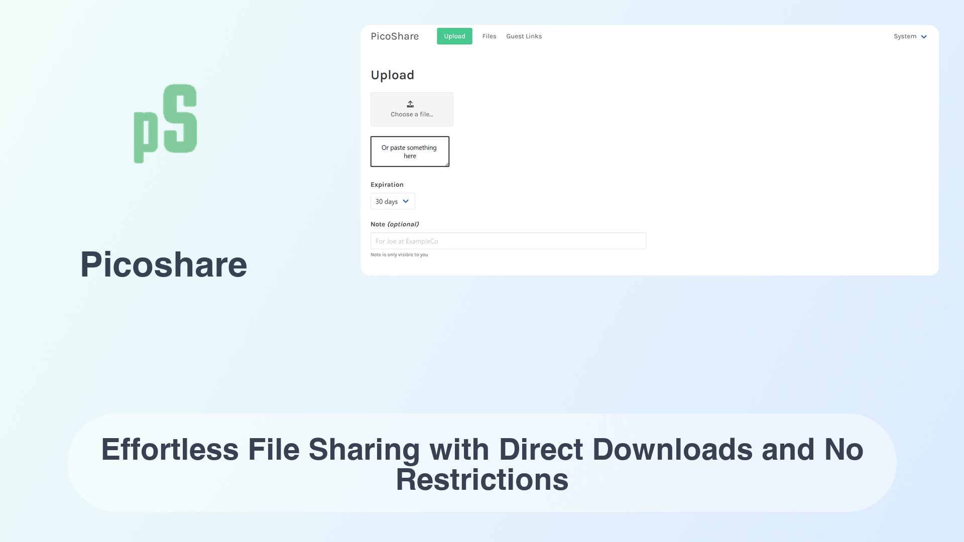 Picoshare: Effortless File Sharing with Direct Downloads and No Restrictions