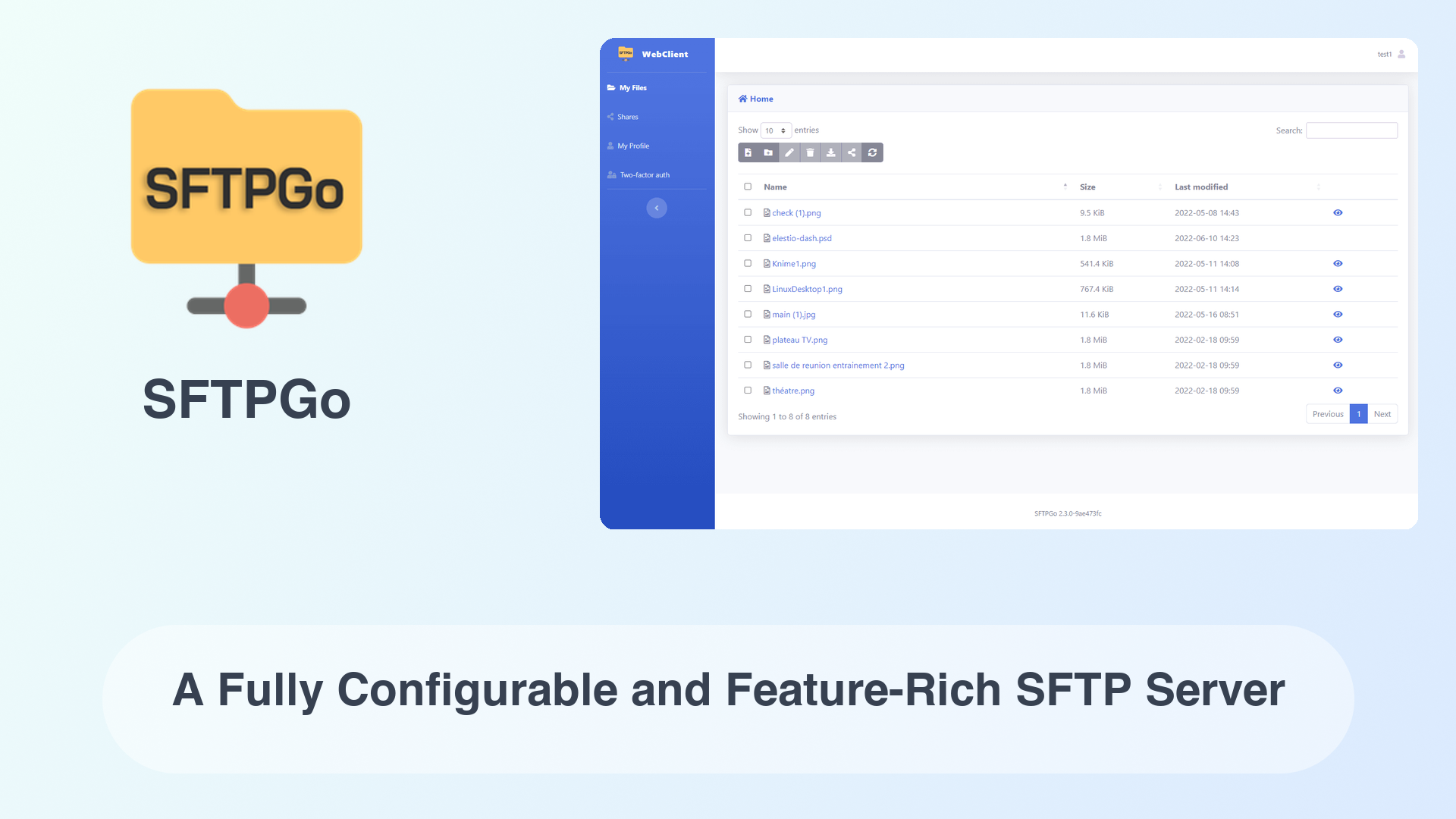 SFTPGo: A Fully Configurable and Feature-Rich SFTP Server